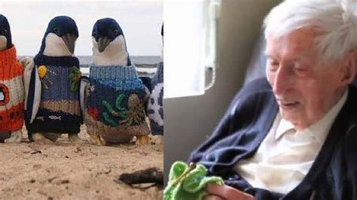 109-year-old man spends his final years knitting tiny sweaters for injured penguins