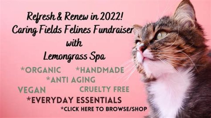 Caring Fields Felines Fundraiser