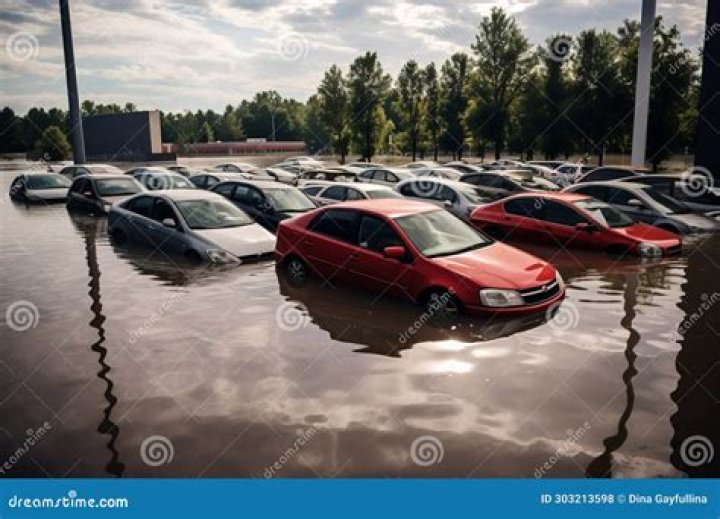 Couple Returns From Cruise to Find Car Flooded in Parking Lot
