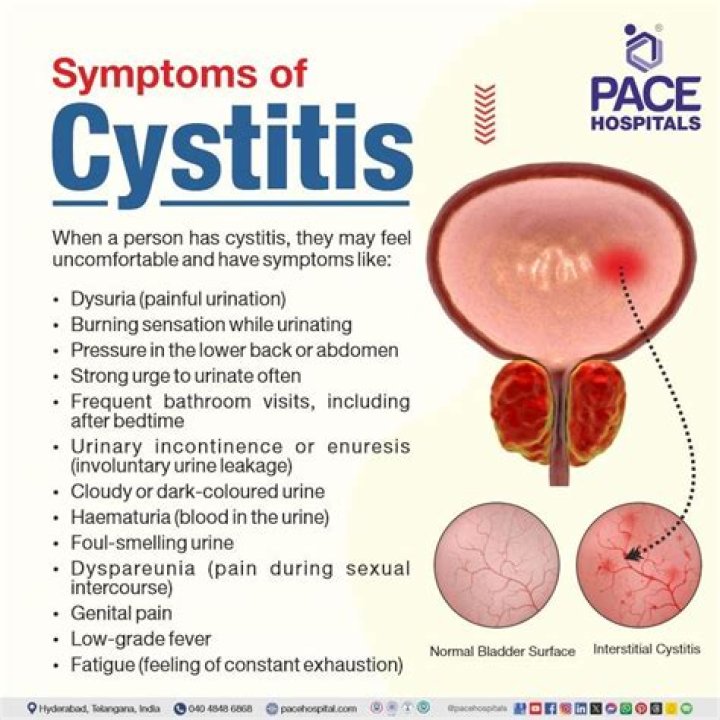 Cystitis Symptoms And How To Cure It In An Instant