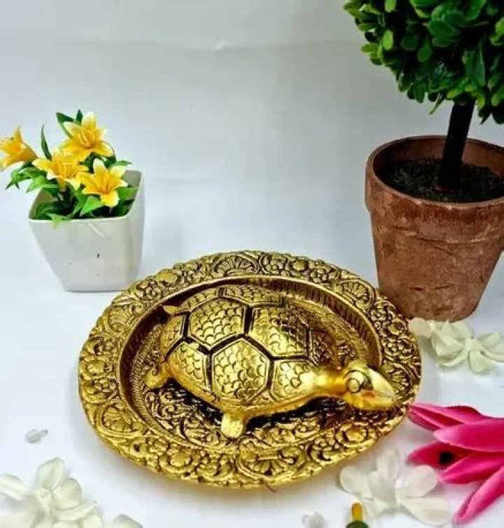 Keep Feng Shui tortoise in home for wealth and prosperity – India TV