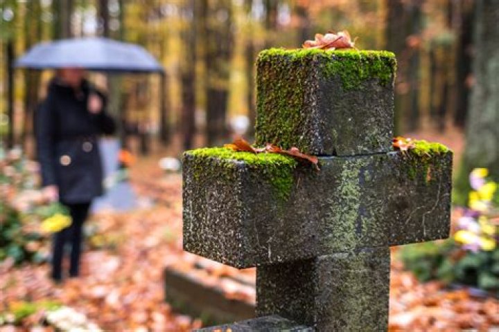 Little Judith Barsi became famous in ‘The Land Before Time’, but then her jealous father shot her