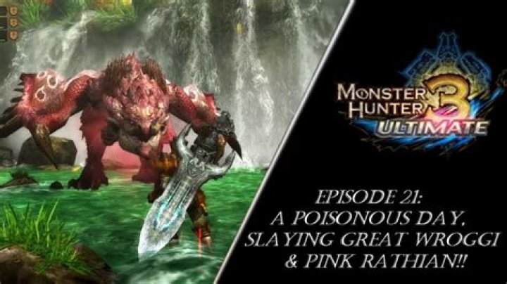 Monster Hunter 3 Ultimate - Great Wroggi Guide