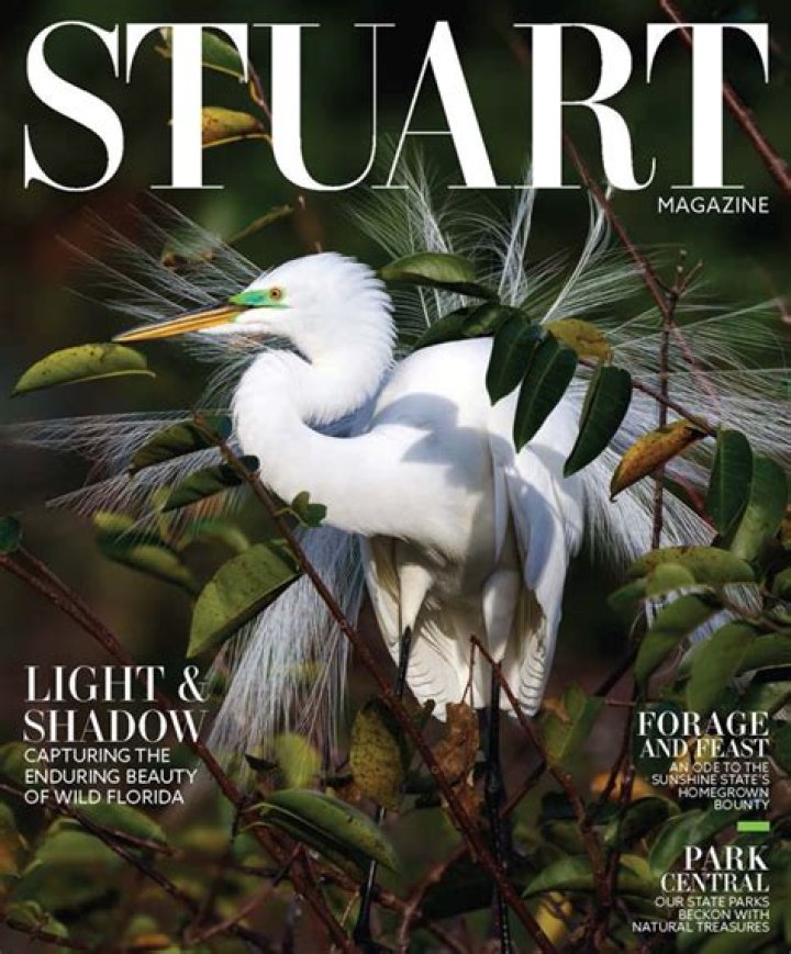 Online Magazine - Stuart Magazine