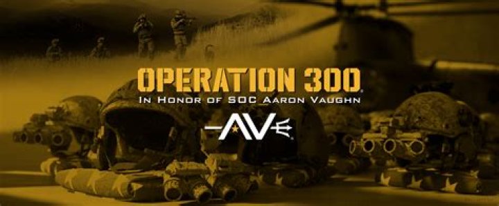 OPERATION 300