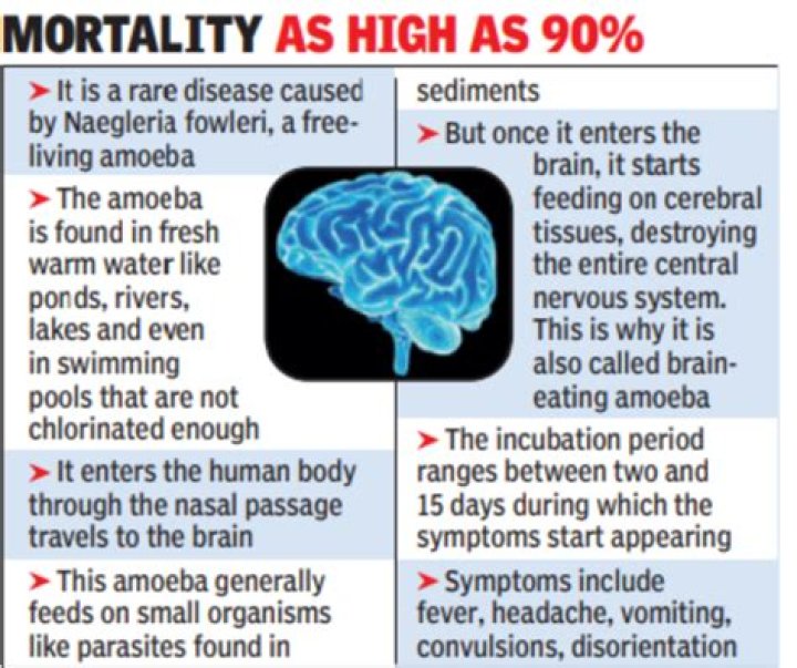 Rare Brain-Eating Amoeba Sparks Warning About Lake Mead's Water