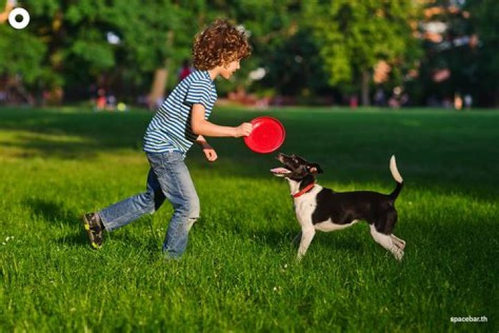 Scientists May Finally Know Why Dogs Wag Their Tails