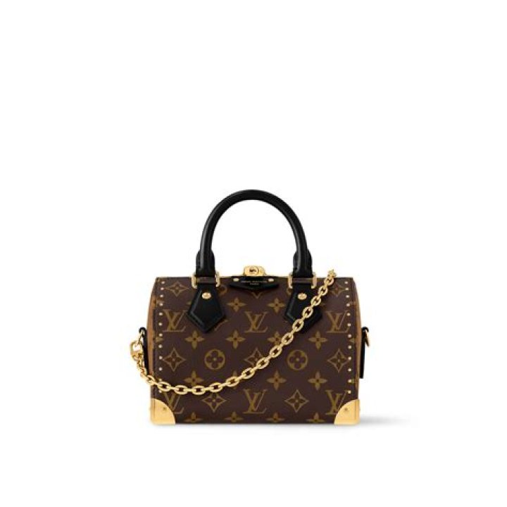 This Louis Vuitton handbag is so tiny, it's hard to see it without microscope – India TV