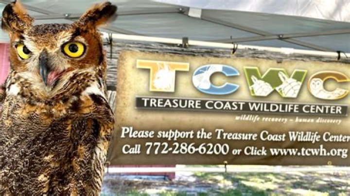 Treasure Coast Wildlife Center’s ‘Ghoula’ Fundraising Event