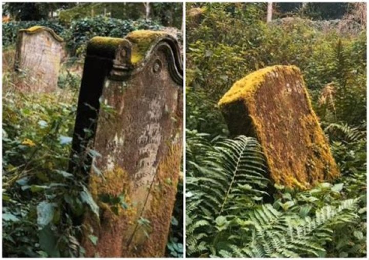 Urban Explorer Finds 400-Year-Old Graveyard Completely Taken Over by Nature