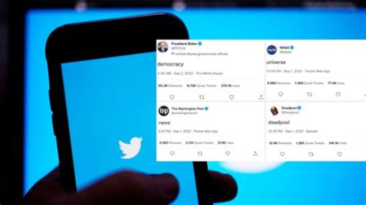 What Is 559Q-RXGN4-JZPP, the Code Trending On Twitter?