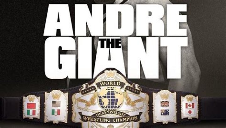 WWE Selling Andre The Giant-Inspired WWE World Championship Replica Title